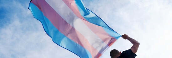 Transgender flag