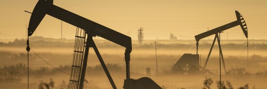 Oil