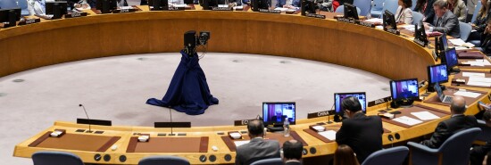 UN Security Council