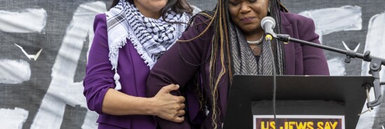 Cori Bush, Rashida Tlaib