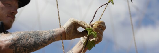 Virus Outbreak Britain Brexit Farmers