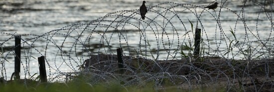 Immigration Razor Wire