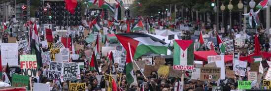 Palestine Rally