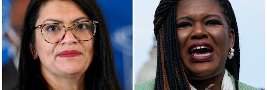 rashida-tlaib-cori-bush-squad-democrats-house-of-representatives.jpg