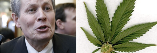 Steve Daines and Marijuana