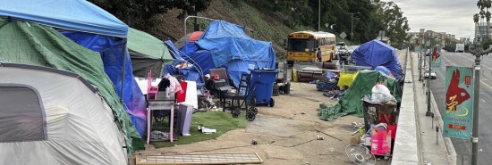 Los Angeles Homeless Shootings