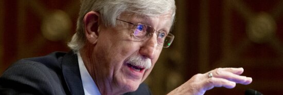 NIH Director